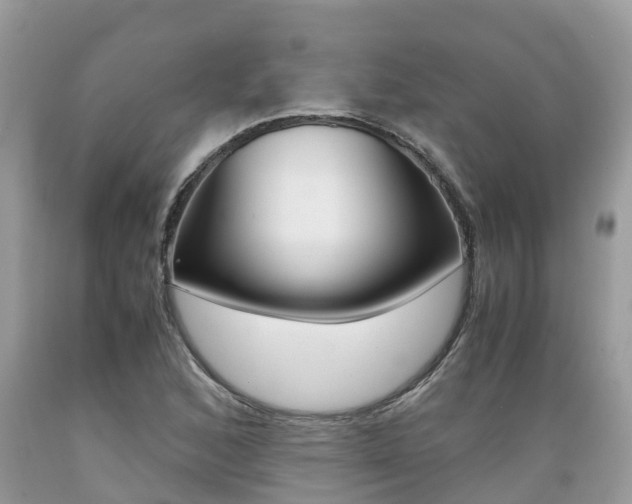X0000089671168200706210746