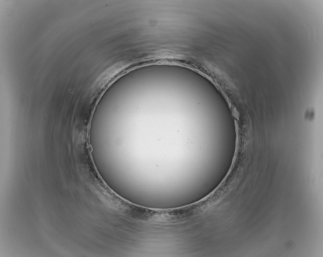 X0000089671169200706210746