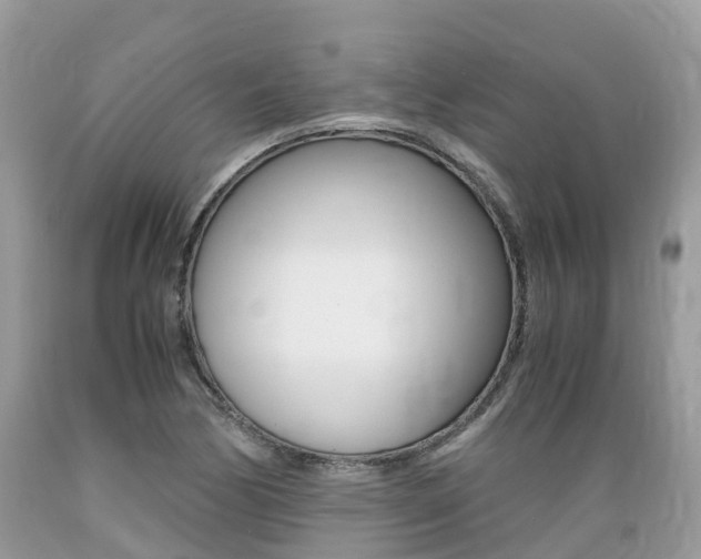 X0000089671170200706210746