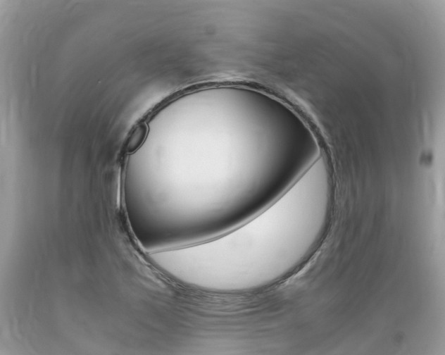 X0000089671171200706210746