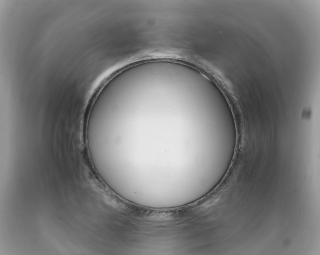 X0000089671174200706210746