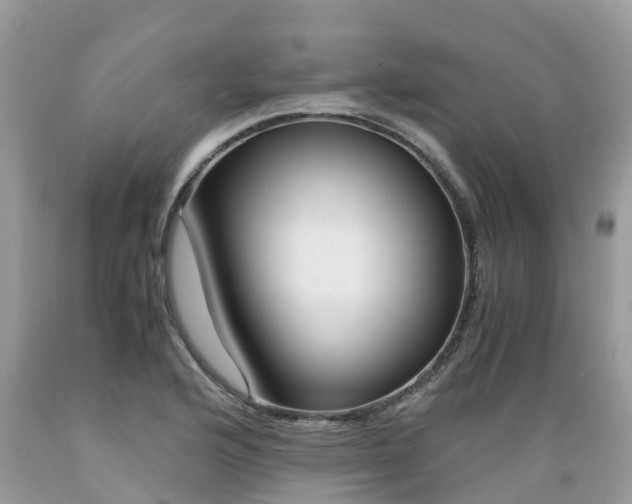 X0000089671176200706210746