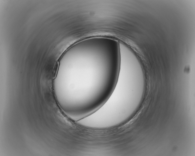 X0000089671177200706210746