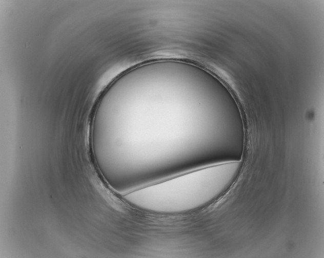 X0000089671179200706210746