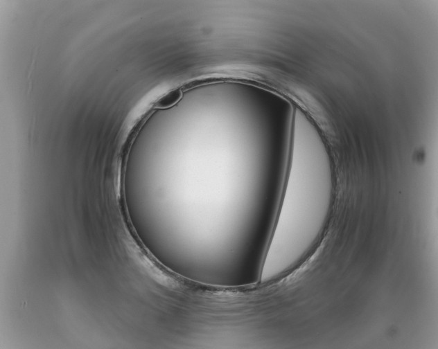 X0000089671180200706210746