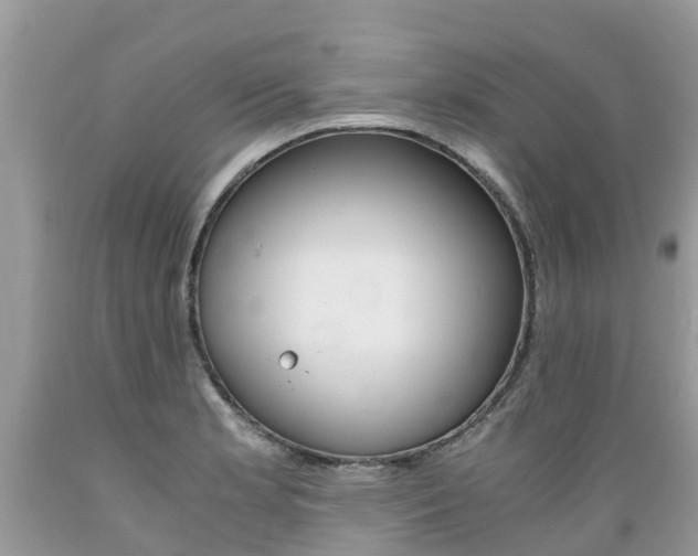 X0000089671181200706210746