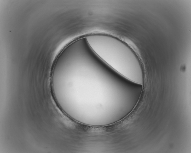X0000089671183200706210746