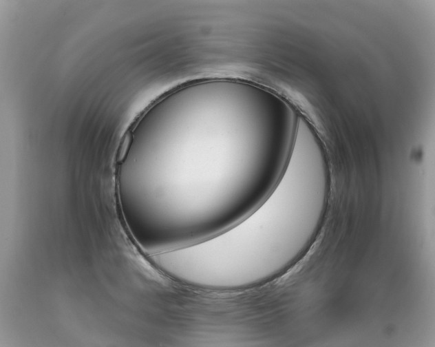 X0000089671184200706210746