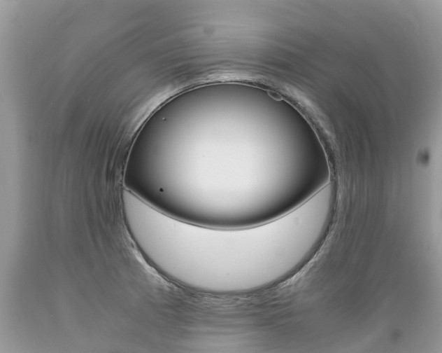 X0000089671185200706210746
