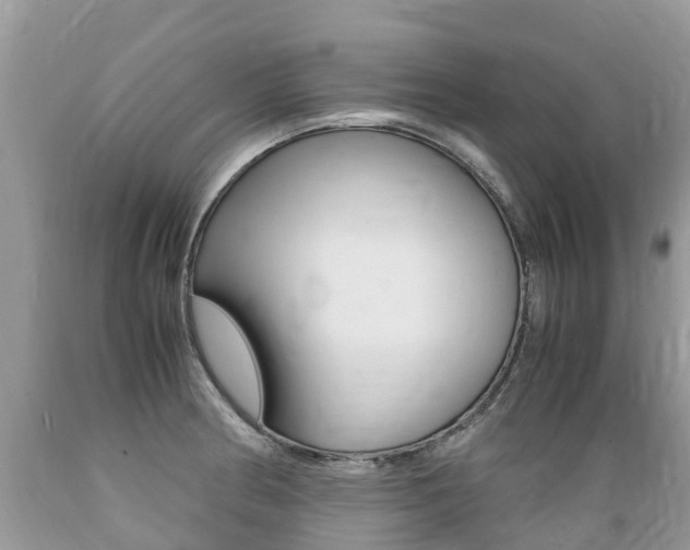 X0000089671186200706210746
