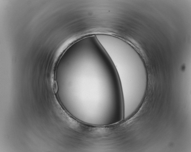 X0000089671188200706210746