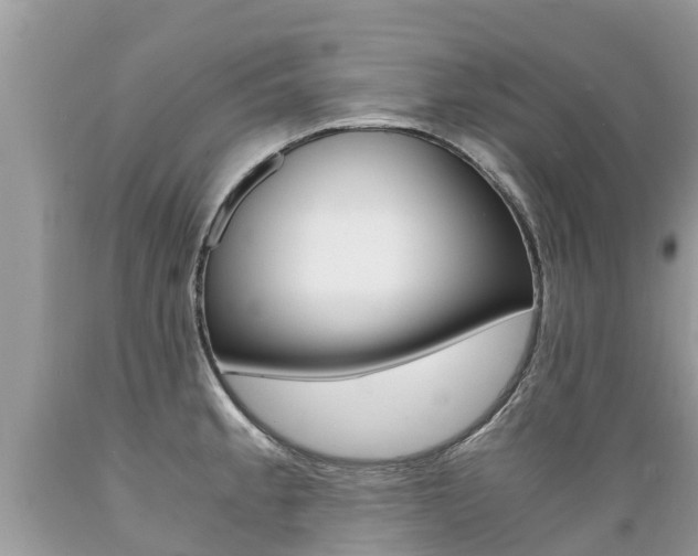 X0000089671189200706210746