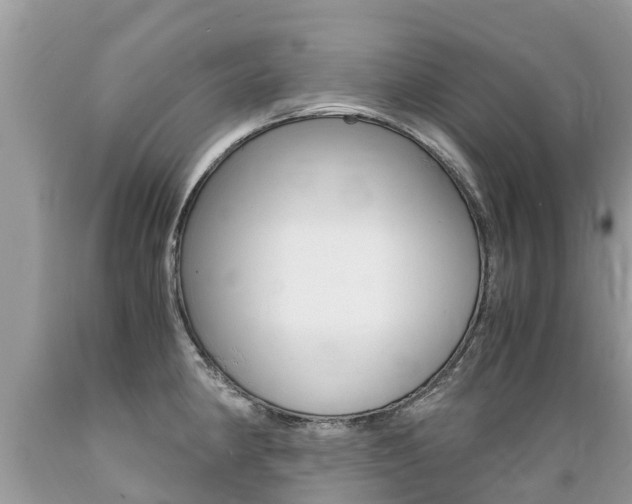 X0000089671190200706210746