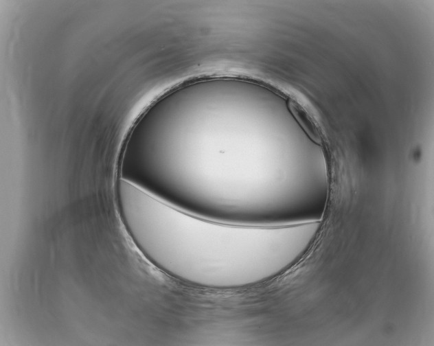 X0000089671191200706210746