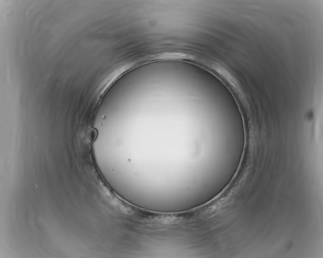 X0000089671193200706210746