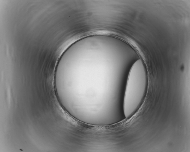 X0000089671194200706210746