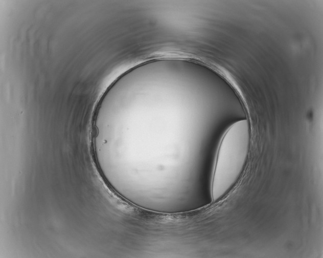 X0000089671195200706210746