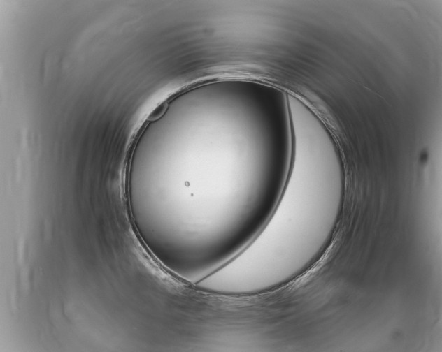 X0000089671196200706210746