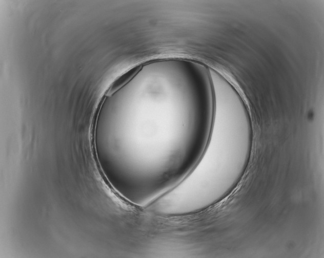 X0000089671197200706210746