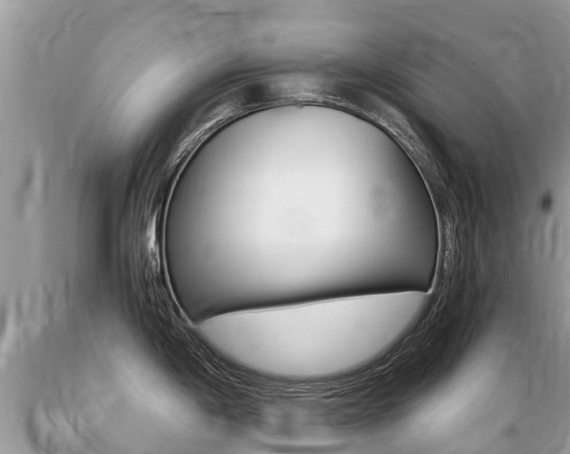 X0000089671198200706210746