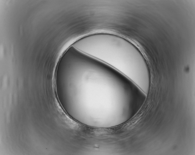 X0000089671199200706210746