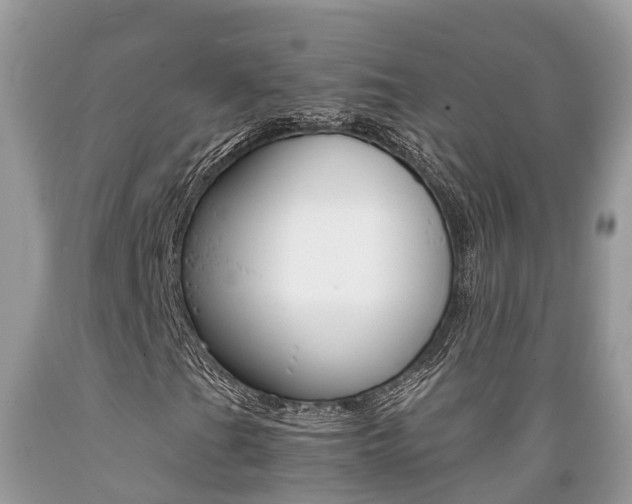 X0000089671201200706210745