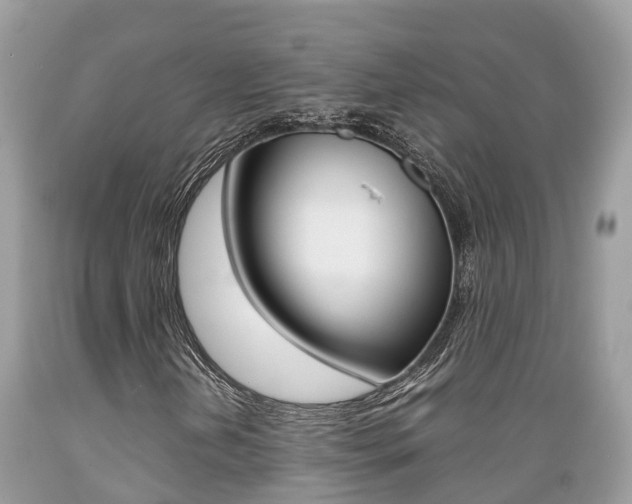 X0000089671202200706210745
