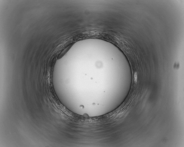 X0000089671203200706210745