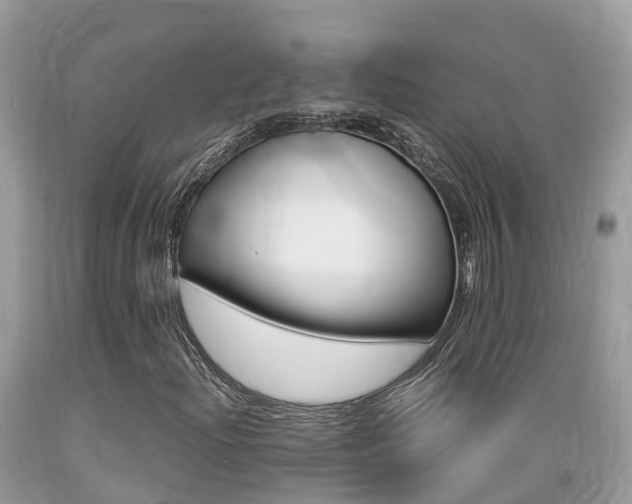 X0000089671204200706210745