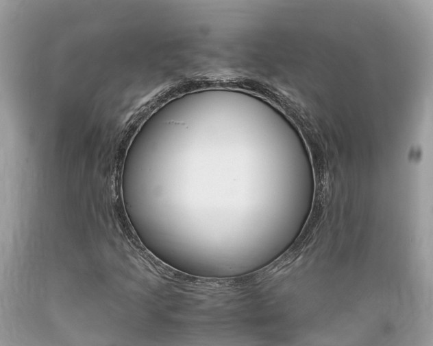 X0000089671205200706210745