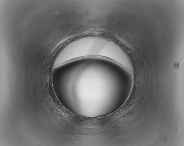 X0000089671206200706210745