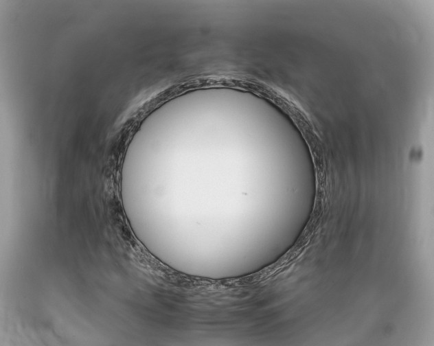 X0000089671207200706210745