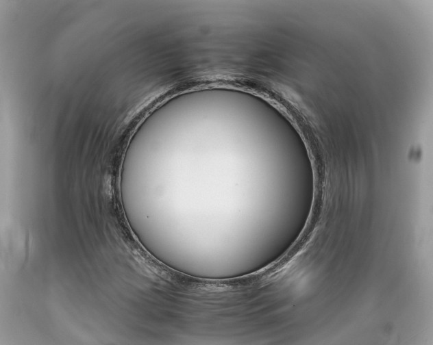 X0000089671209200706210745