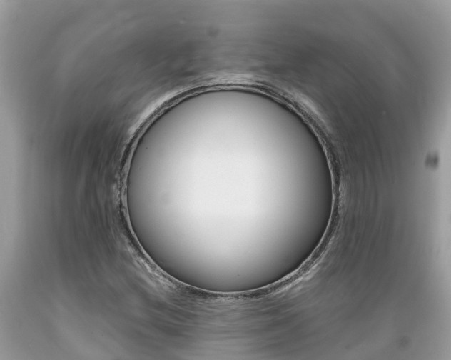X0000089671212200706210745