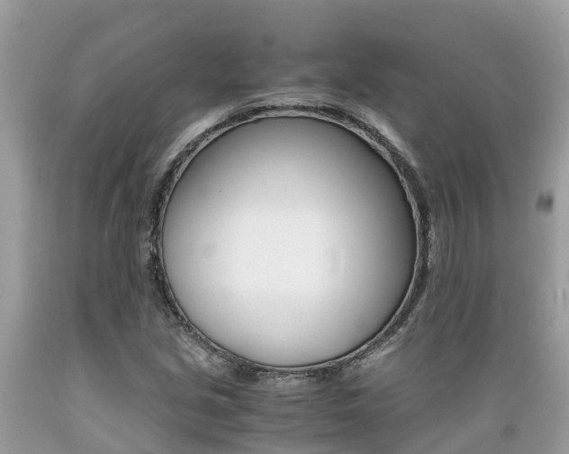 X0000089671213200706210745