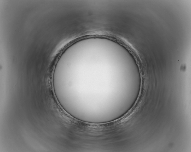 X0000089671215200706210745
