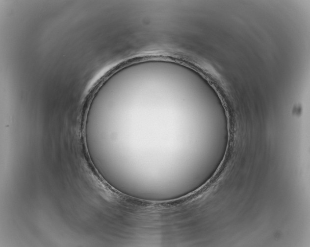 X0000089671216200706210745