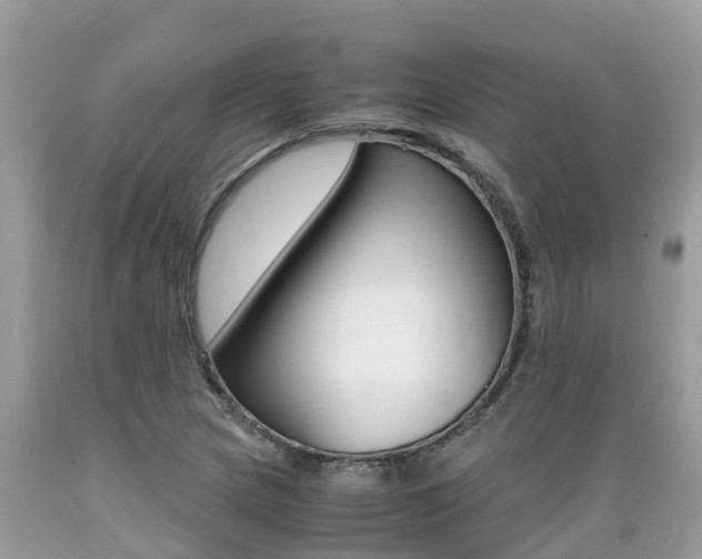 X0000089671217200706210745