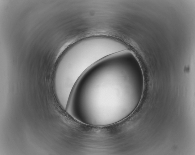 X0000089671218200706210745