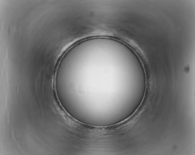 X0000089671220200706210745