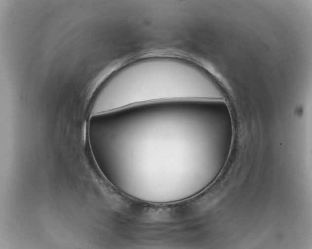 X0000089671221200706210745