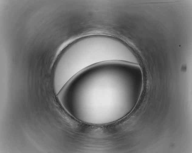 X0000089671222200706210745