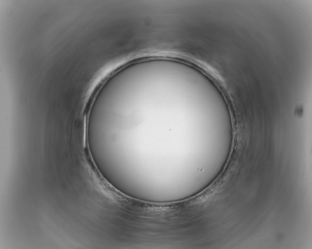 X0000089671223200706210745