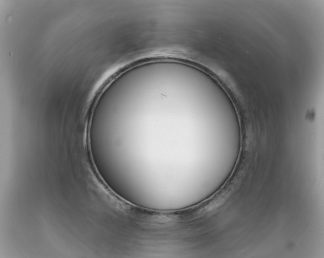 X0000089671224200706210745