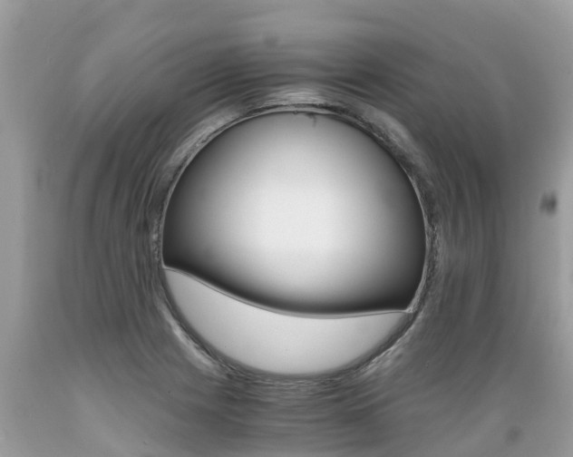 X0000089671225200706210745