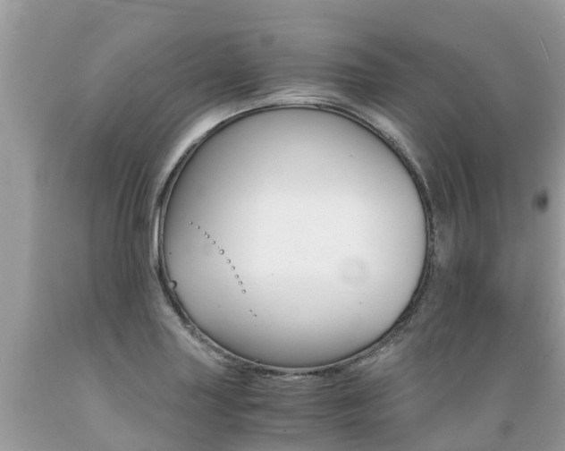 X0000089671227200706210745