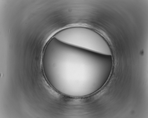 X0000089671228200706210745