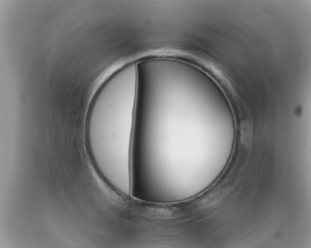 X0000089671229200706210745