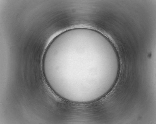 X0000089671230200706210745