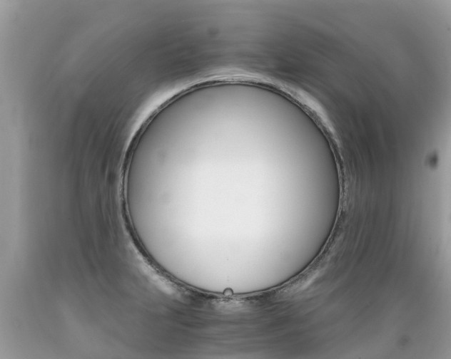 X0000089671231200706210745